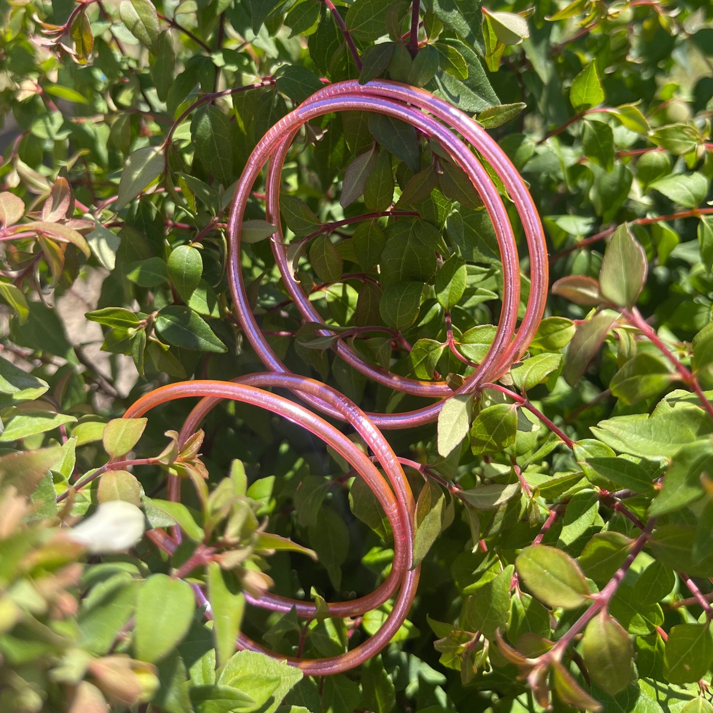 Jonc bouddhiste fin rose classique Orabulle