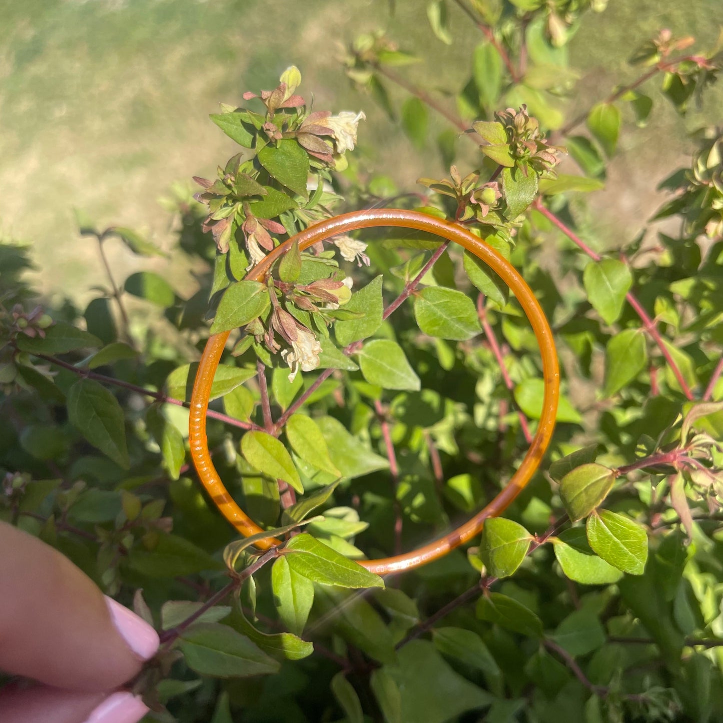 Jonc bouddhiste fin saumon Orabulle