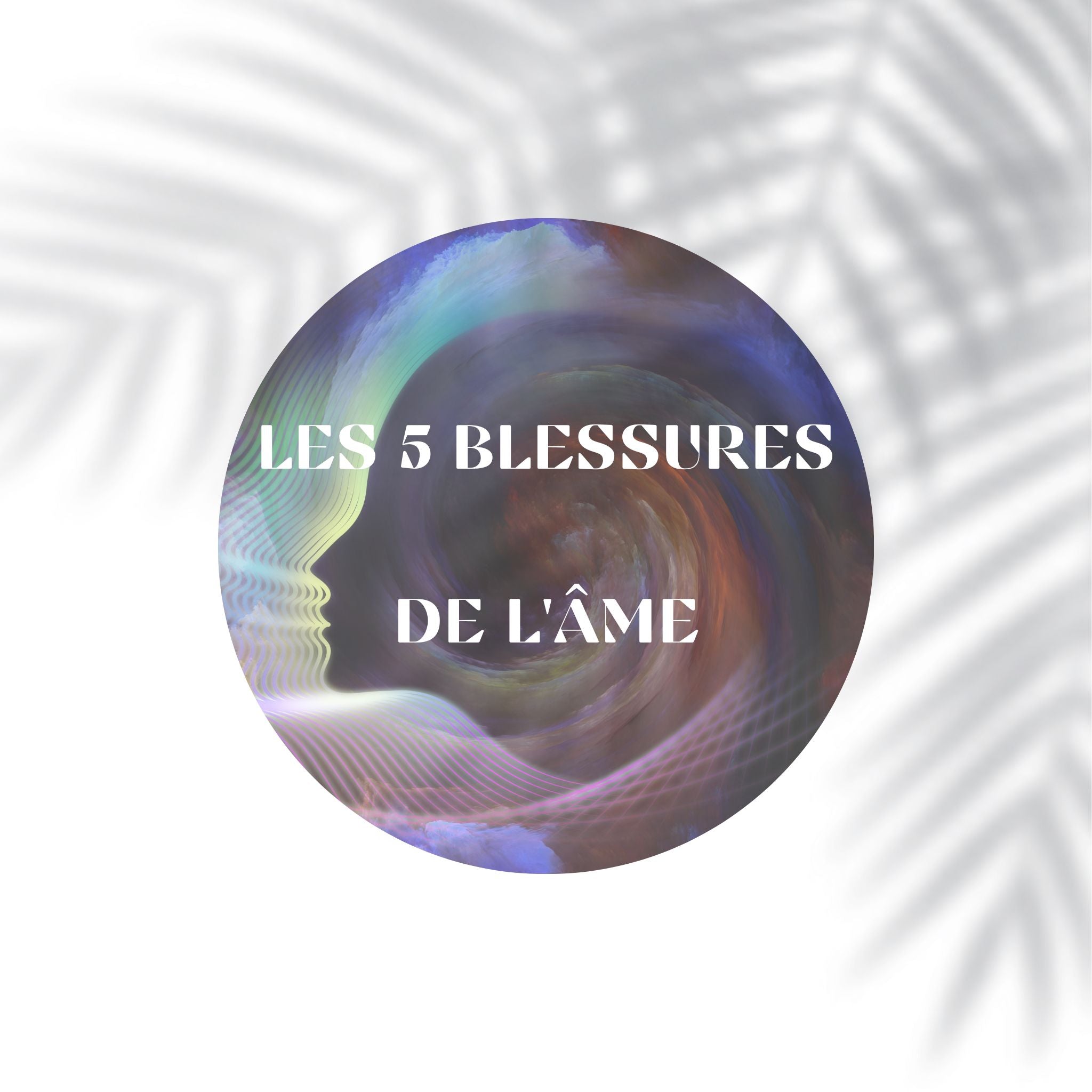 Les 5 blessures de l'âme : comprendre et guérir nos souffrances intéri ...