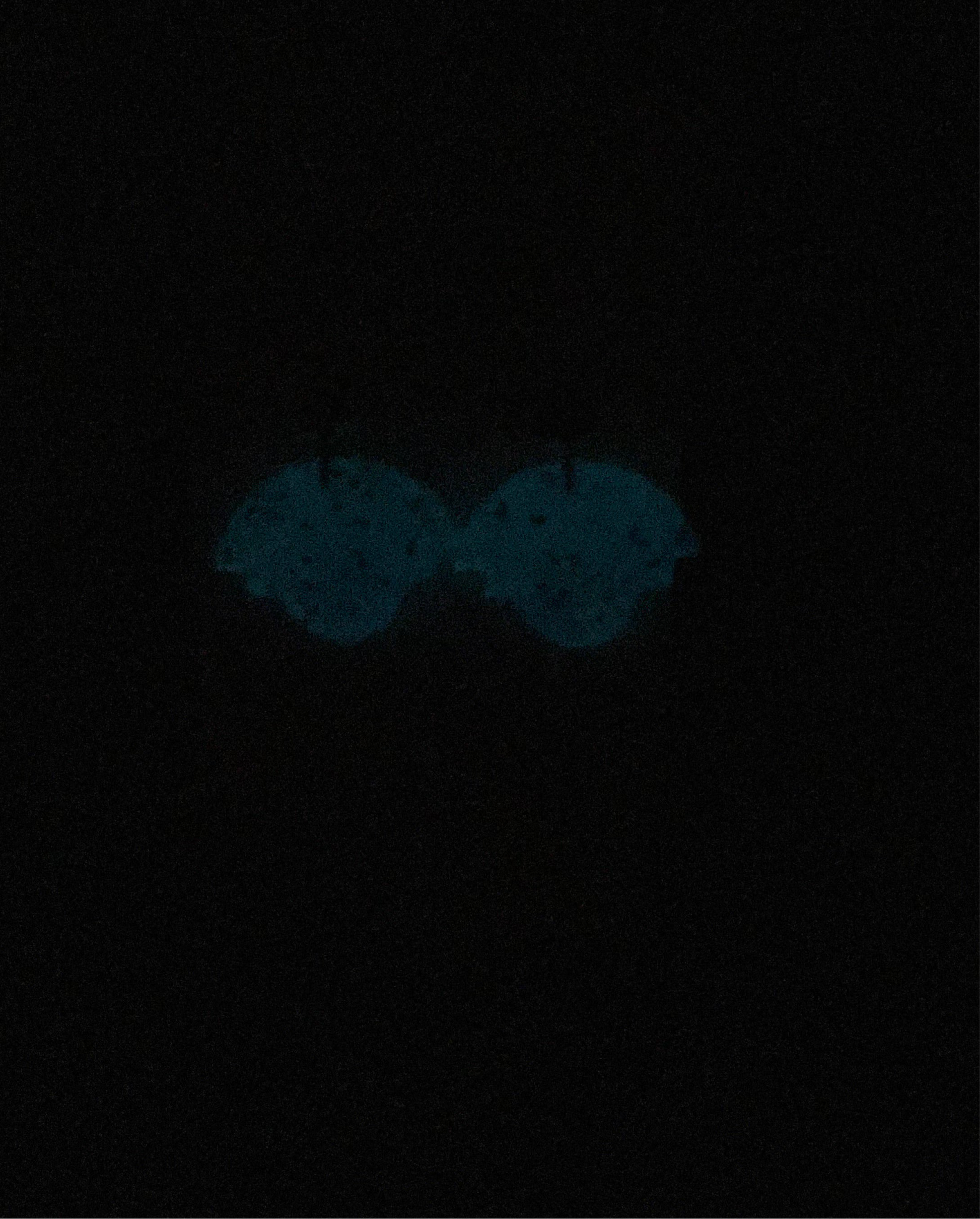 Boucles d’Oreilles “Lune Menthe” boucles d'oreilles