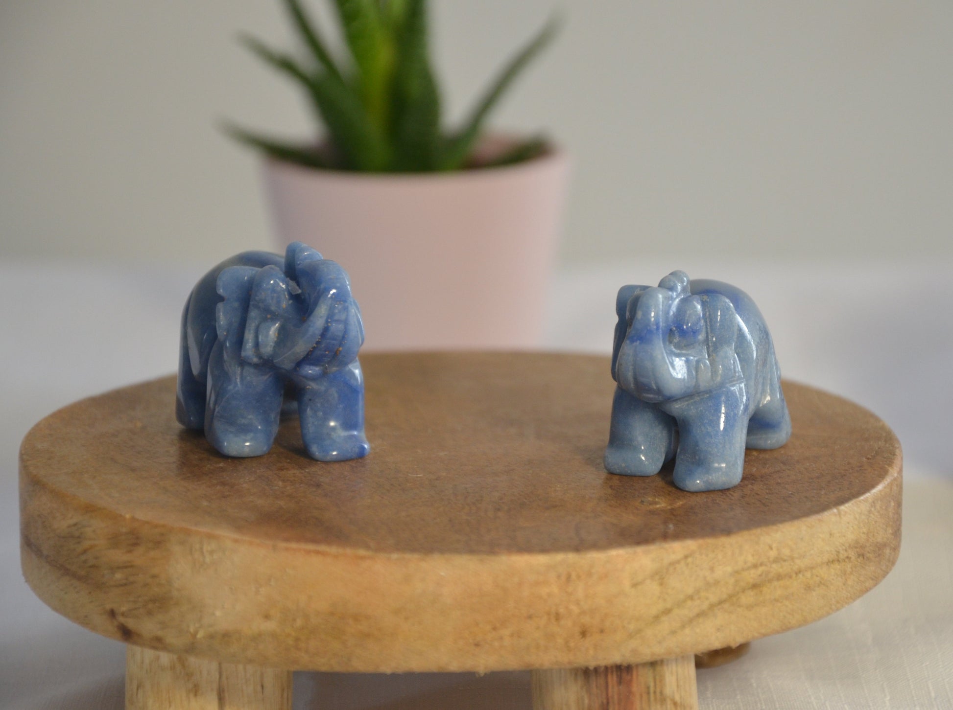 Elephant aventurine bleue 