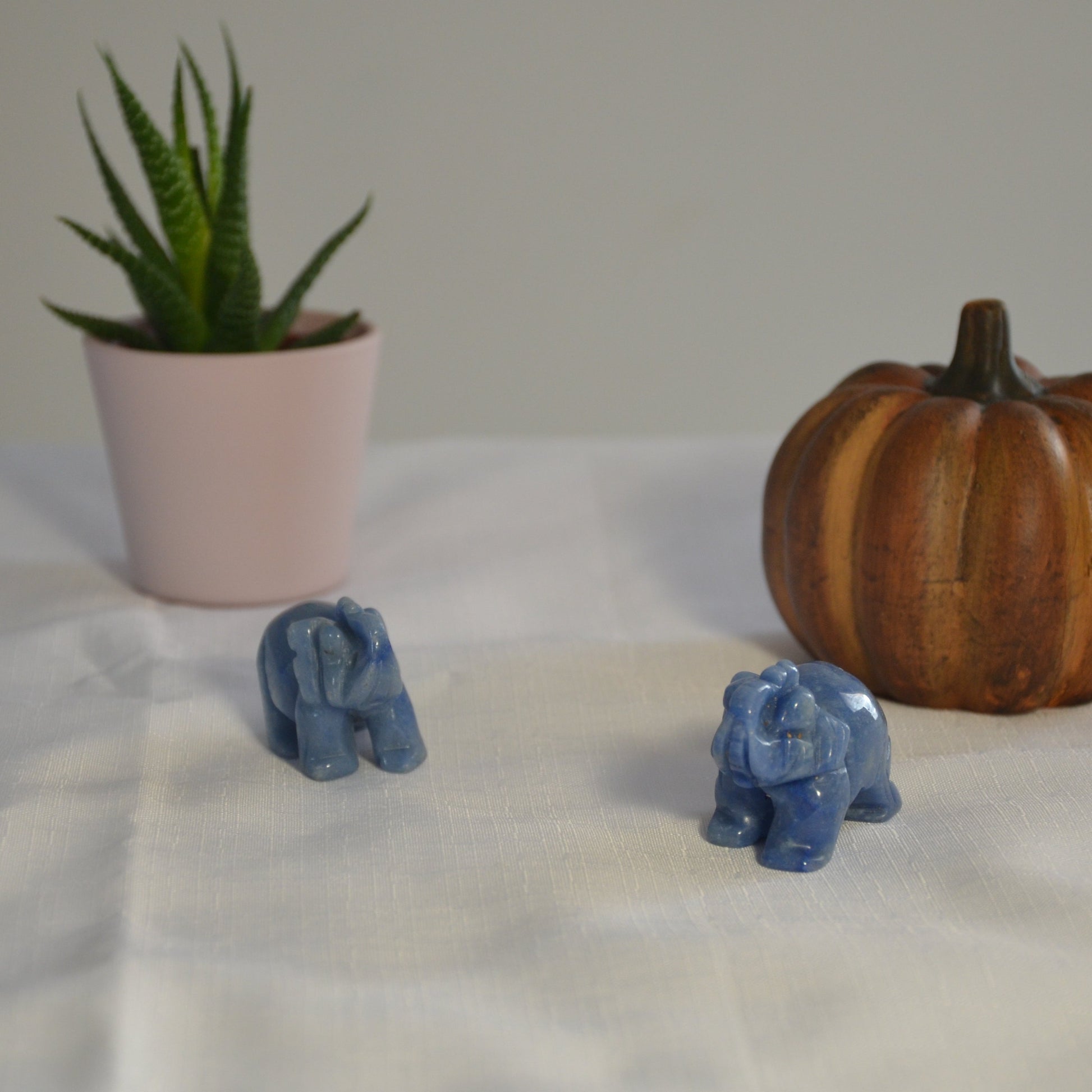 Elephant aventurine bleue 